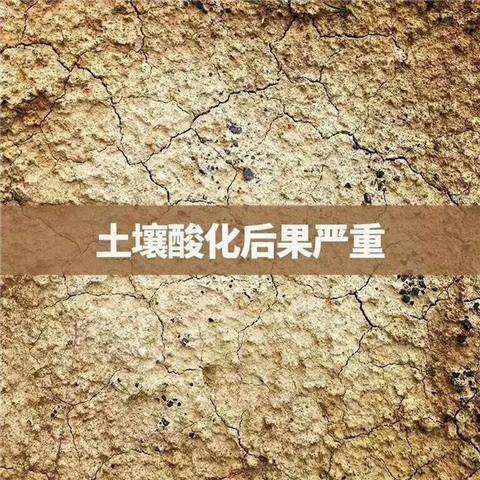 微生物菌劑,拉姆拉,翠姆