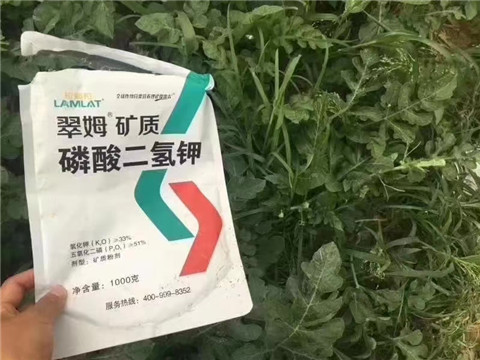 磷酸二氫鉀，硼肥，沖施肥