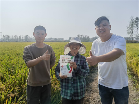 水溶肥,水稻種植,翠姆磷酸二氫鉀